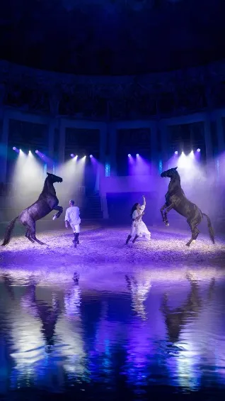 https://cdn.intickets.ru/sites/default/files/gallery_image/0f900c04-4e0ab8c0-b023d225.jpg