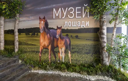 Стандартная экскурсия по интерактивной экспозиции «Музей Лошади»