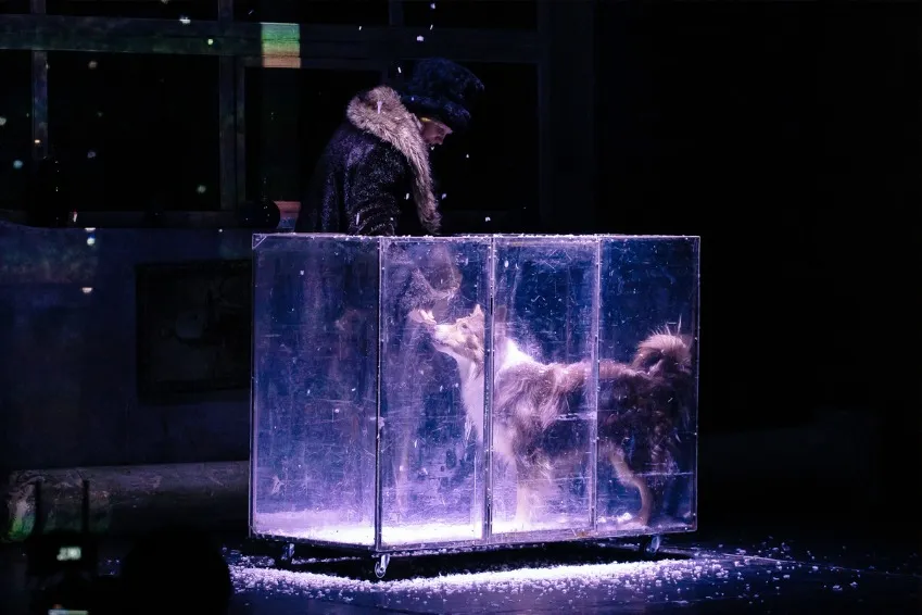 https://cdn.intickets.ru/sites/default/files/gallery_image/612c1cf5-4b9a8969-b1077aaa.jpg