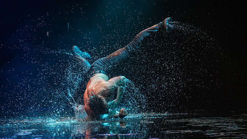 https://cdn.intickets.ru/sites/default/files/gallery_image/cc12639a-499fa660-8a0e395d.jpg