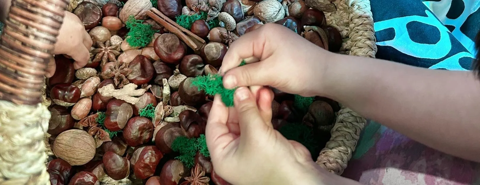 Сенсорный концерт