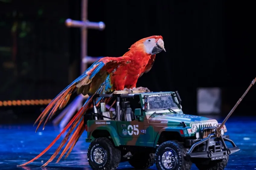 https://cdn.intickets.ru/sites/default/files/gallery_image/a3f7f005-449fb456-df4eb449.jpg