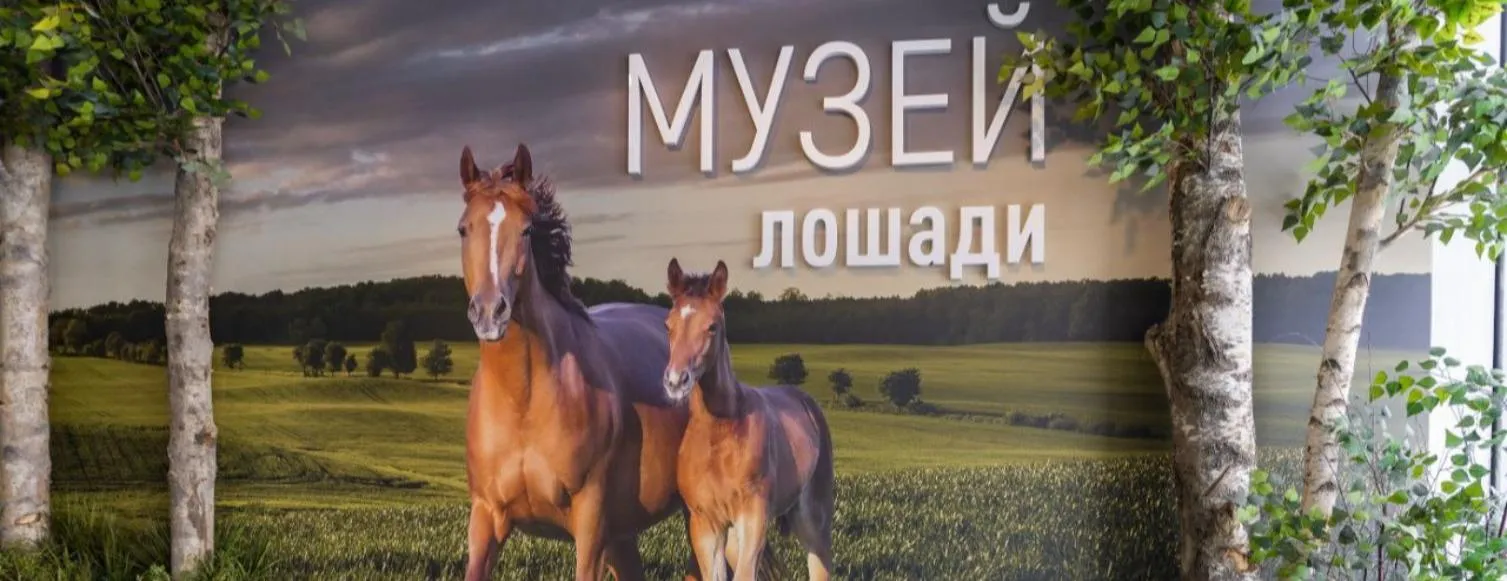 Стандартная экскурсия по интерактивной экспозиции «Музей Лошади»