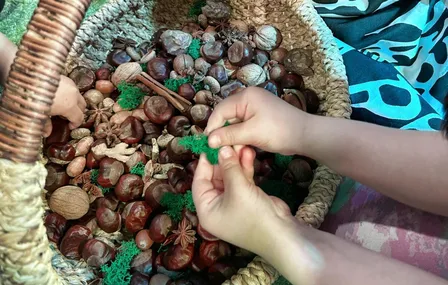 Сенсорный концерт
