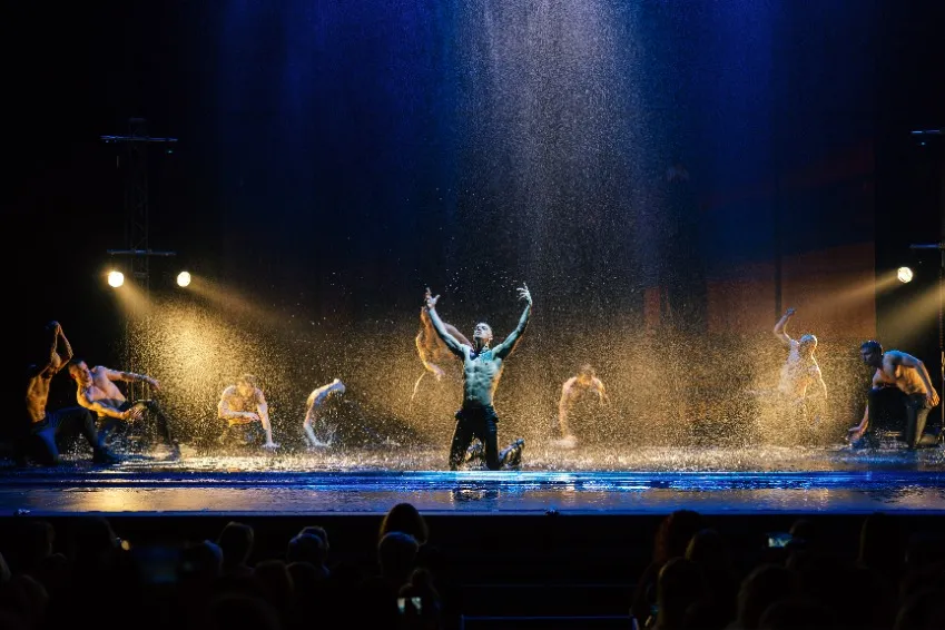 https://cdn.intickets.ru/sites/default/files/gallery_image/0384467b-4da8a03d-cb570568.jpg