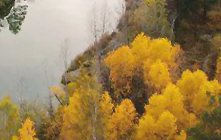 День Сибири