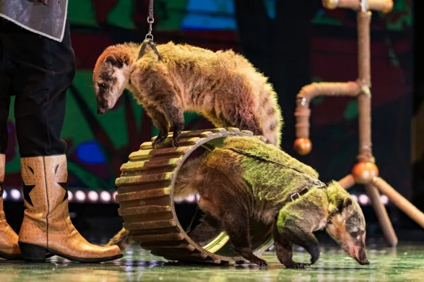 https://cdn.intickets.ru/sites/default/files/gallery_image/73b14a48-4664b0db-c0ab548f.jpg