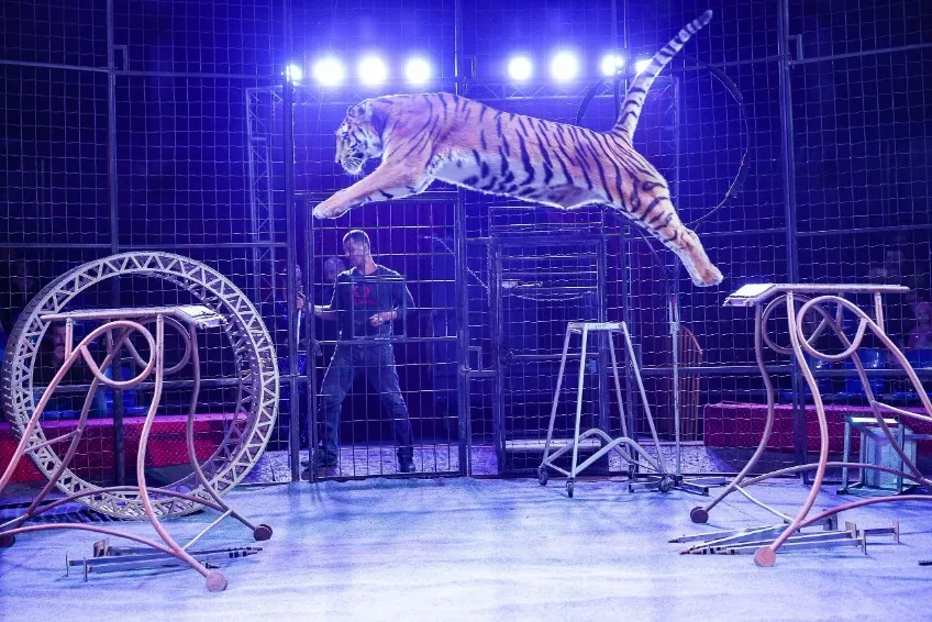 https://cdn.intickets.ru/sites/default/files/gallery_image/c67ec183-47759c38-cb603eab.jpg