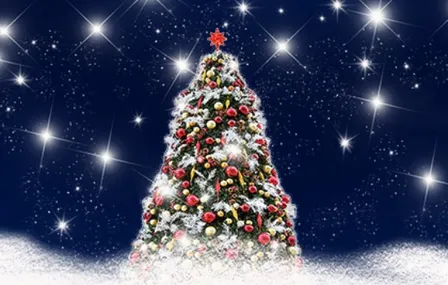 Christmas Gala 2026